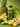 GREEN DETOX